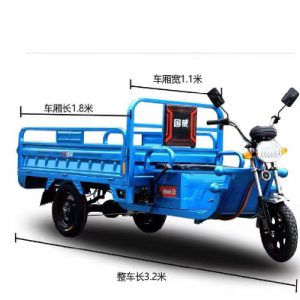 Household electric tricycles, farm tricycles for pulling goods, very cool electric tricycles (1)
